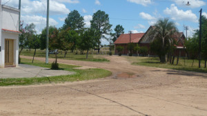 magnasco