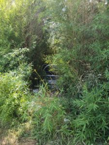 IMG-20200219-WA0018